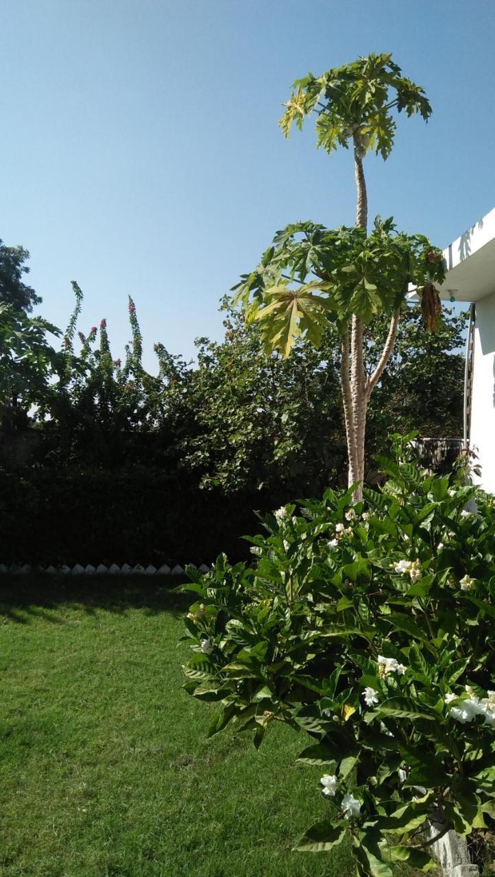 Prem Home Stay Khajuraho Bagian luar foto